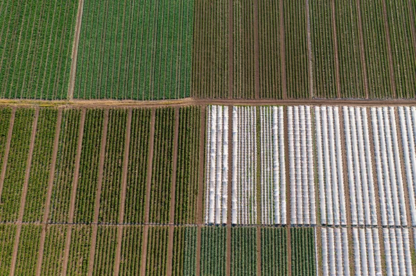 Uitzicht Vanuit Lucht Velden Met Groenten Broeikasgassen Een Commerciële Boerderij — Stockfoto