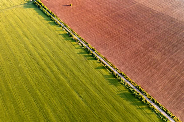 Pola Rolne Oddzielone Drogą Widok Powietrza — Zdjęcie stockowe