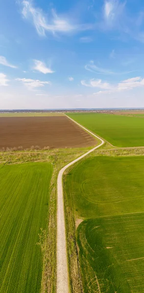 Vista Aerea Una Vecchia Strada Campagna Tra Campi Agricoli Primavera — Foto Stock