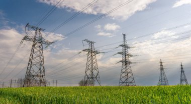 Baharda yeşil buğday tarlasında elektrik hatları.