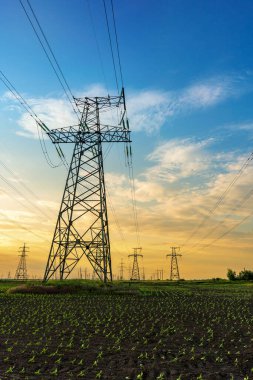 Yüksek voltaj hatları ve elektrik direkleri doymuş günbatımı gökyüzüne karşı yeşil tarımsal bir alanda.