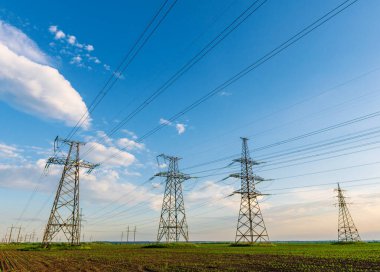 Elektrik hatları sebzelerle ekilmiş bir tarımdan geçiyor..