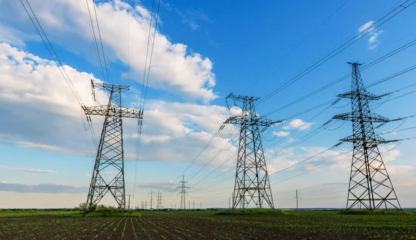 Elektrik hatları sebzelerle ekilmiş bir tarımdan geçiyor..