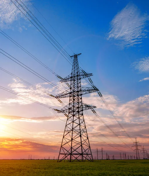 Yüksek voltaj hatları ve elektrik direkleri doymuş günbatımı gökyüzüne karşı yeşil tarımsal bir alanda.