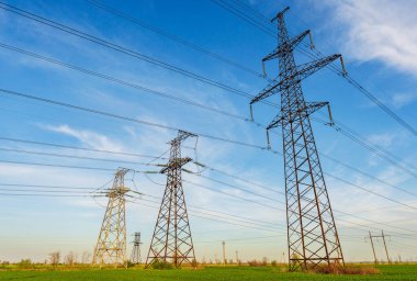 Baharda yeşil buğday tarlasında elektrik hatları.