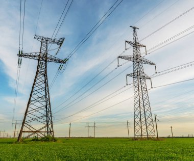 Baharda yeşil buğday tarlasında elektrik hatları.