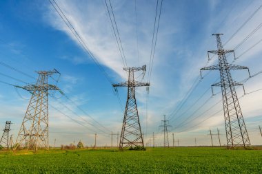 Baharda yeşil buğday tarlasında elektrik hatları.