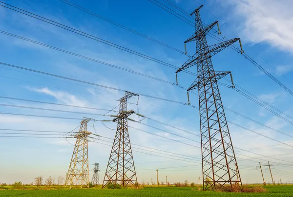 Γραμμές Ηλεκτρικής Ενέργειας Την Άνοιξη Ένα Χωράφι Πράσινου Σιταριού — Φωτογραφία Αρχείου