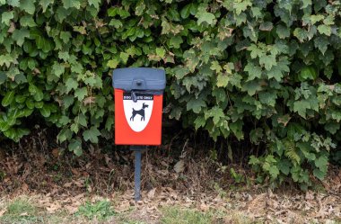 Köpek kakası için kırmızı vazo. 