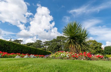 Bulutlu bir günde, çiçekli ve palmiyeli güzel çimenler.