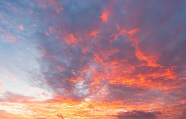 Huge Panoramic View Sunset Sunrise Sundown Sky Colorful Clouds — Stock Photo, Image