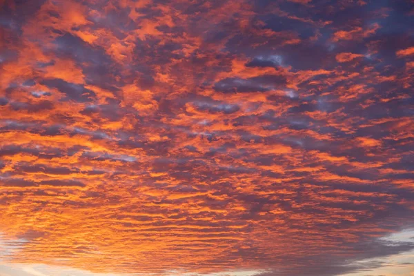 Stunning Colorful Sunset Blue Sky Yellow Purple Cirrus Clouds — Stock Photo, Image