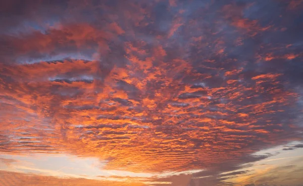 Stunning Colorful Sunset Blue Sky Yellow Purple Cirrus Clouds High — Stock Photo, Image