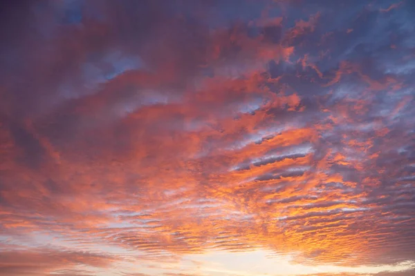 Impressionante Pôr Sol Colorido Céu Azul Amarelo Roxo Cirrus Nuvens — Fotografia de Stock