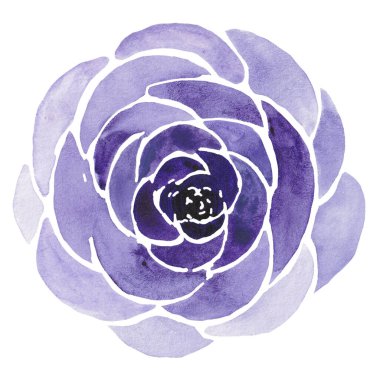 Gül çiçekleri ve yaprakları, çelenk, çerçeve, tatil kartları ve tasarımları gösteren suluboya çizimler