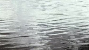 The texture of water. Water background. Glittering Light on Water. The Sun sparkles on the surface of the water.
