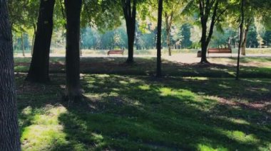 Parkta dinlenmek için bankları olan Picturesque Alley.