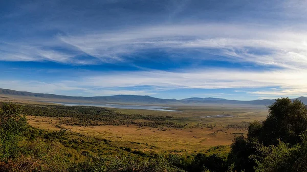Tanzanya Afrika Safari 'deki Ngorongoro Koruma Krateri manzarası