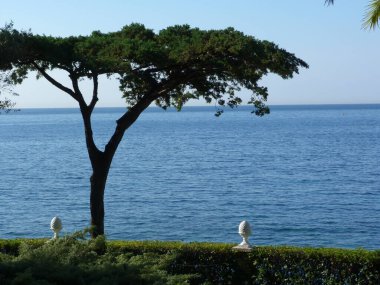 Tam deniz manzaralı, çam ağacından yapılmış Fransız manzaralı.