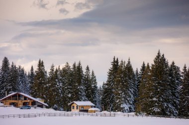 Transilvanya 'daki Karpatya dağlarında Susai dağ evinde bir yerde.