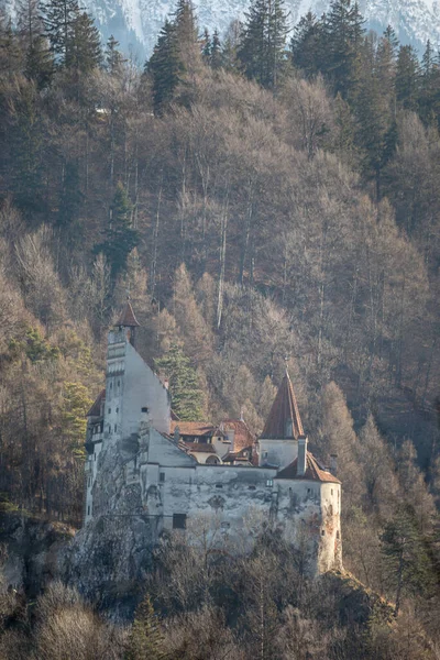 Drakula'nın Şatosu Transylvania'da