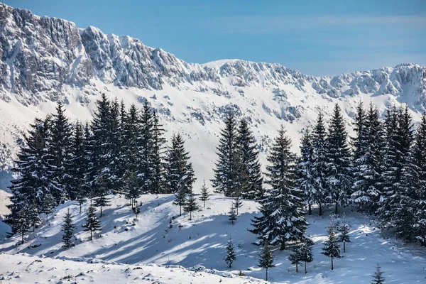 Winterlandschaft Mit Schneebedeckten Tannen Einem Dorf Siebenbürgen Der Nähe Von — Stockfoto