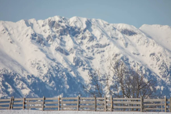 Winterlandschaft Mit Altem Zaun Und Bucegi Bergen Hintergrund Einem Dorf — Stockfoto