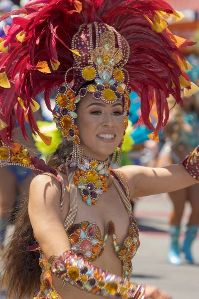 Carnaval San Francisco Annual Celebration Music Dancing Food Drink Art — Foto Stock