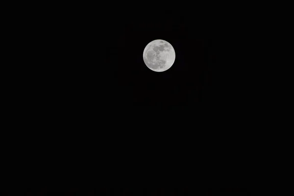 Large Full Moon Sky — Stock Photo, Image