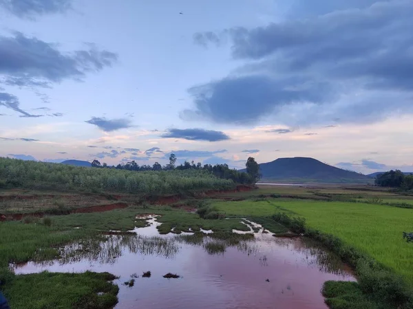 Bir tarlası ve gölü olan güzel bir manzara.
