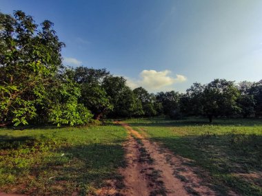 Parkın güzel manzarası
