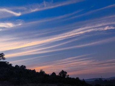 Ormanın üzerinde güzel bir gün batımı