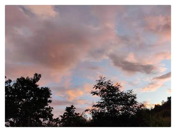 Όμορφο Ηλιοβασίλεμα Δέντρα Και Σύννεφα — Φωτογραφία Αρχείου
