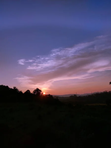 Magnifique Coucher Soleil Sur Forêt — Photo