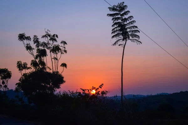 Schöner Sonnenuntergang Wald — Stockfoto