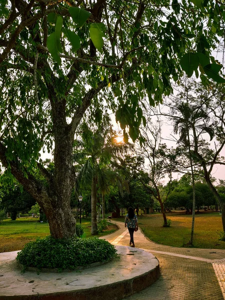 Une Fille Marchant Dans Parc — Photo