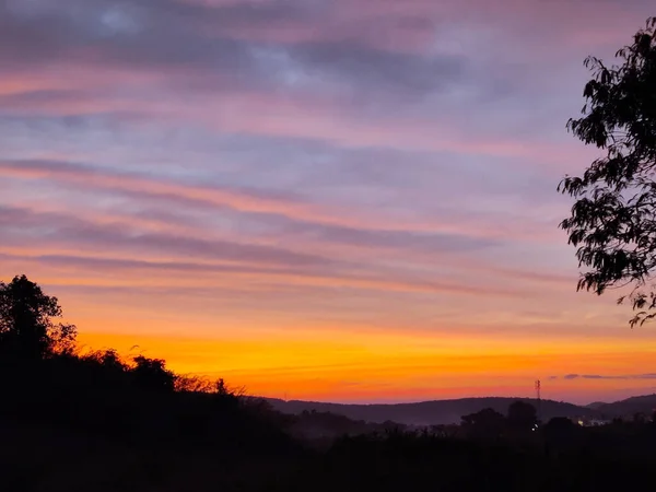 Piękny Krajobraz Drzew Zachód Słońca — Zdjęcie stockowe