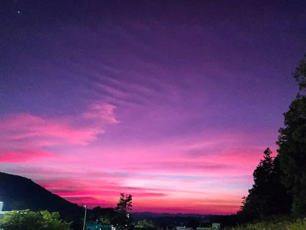 森の上の美しい夕日 — ストック写真