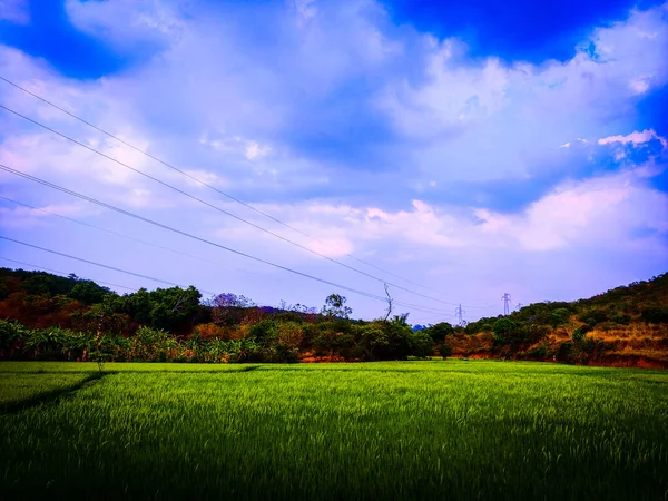 Boş yollarda bisiklet sürmek