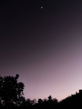 Ormanın üzerinde güzel bir gün batımı