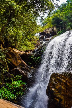 Ormanda güzel bir şelale