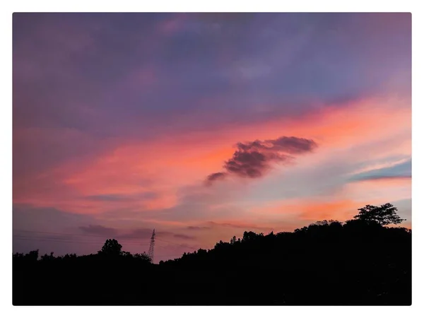 Magnifique Coucher Soleil Sur Forêt — Photo