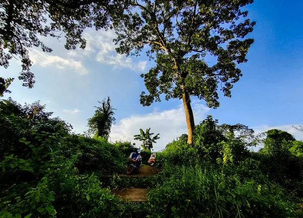 Parkın güzel manzarası
