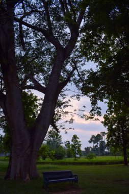 Parkın güzel manzarası