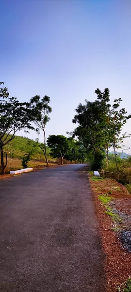 a vertical shot of the road in the mountains