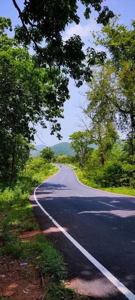 Highway Road Green Trees Forest — Stock fotografie