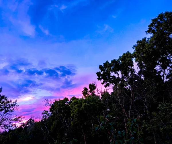 Belo Pôr Sol Floresta — Fotografia de Stock