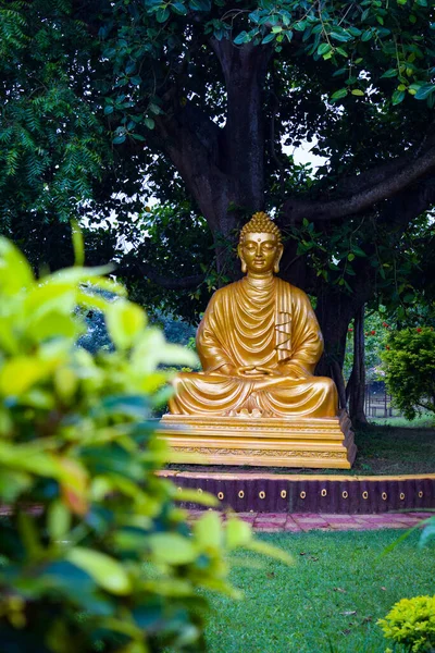 Boeddhabeeld Tempel Van Thailand — Stockfoto