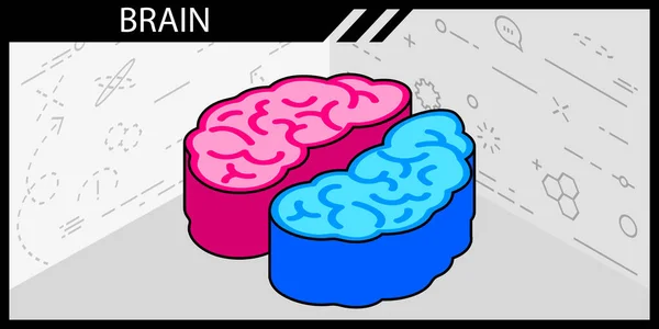 Иконка Изометрического Дизайна Мозга Векторная Веб Иллюстрация Красочная Концепция — стоковый вектор