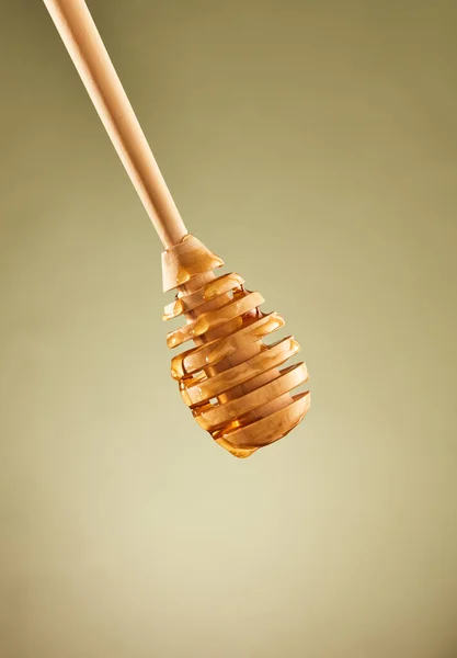 ahşap bal ayı damlayan bal